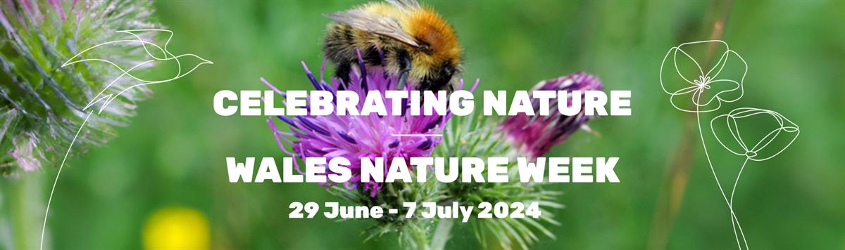 Wales Nature Week 2024