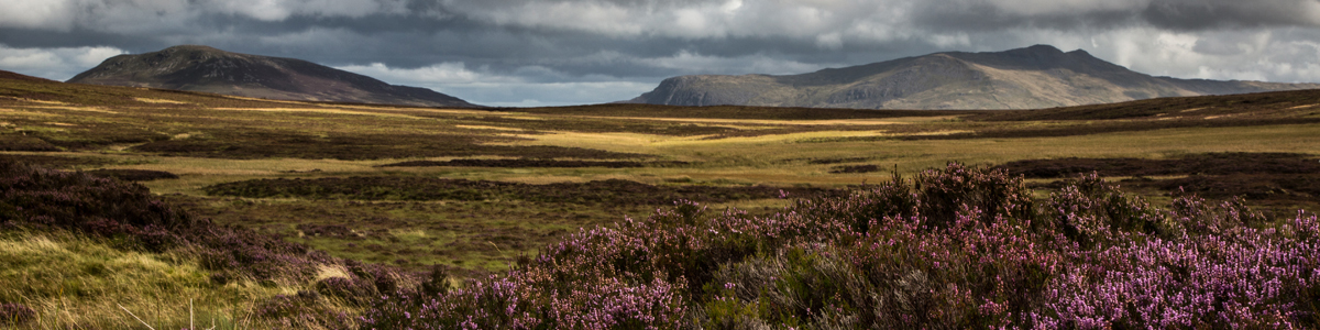 Arenig Fawr Migneint by Alun Williams