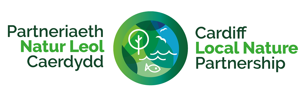 logo Caerdydd LNP