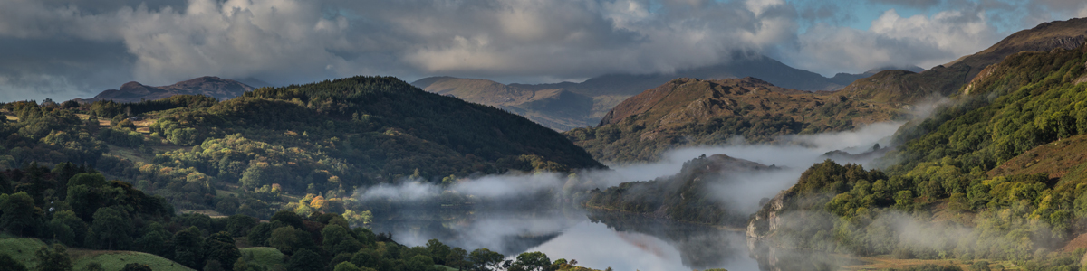 LLyn Dinas wodlands by Alun Williams