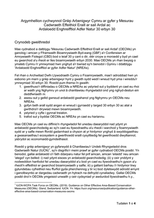 Argymhellion cychwynnol Grŵp Arbenigwyr Cymru ar gyfer y Mesurau Cadwraeth Effeithiol Eraill ar sail Ardal ac Ardaloedd Enghreifftiol Adfer Natur 30 erbyn 30