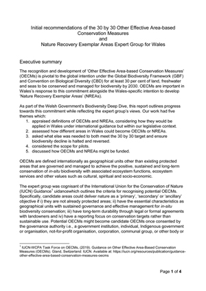 Initial recommendations of the 30 by 30 Other Effective Area-based Conservation Measures and Nature Recovery Exemplar Areas Expert Group for Wales