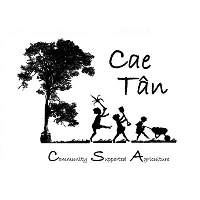 Cae Tan