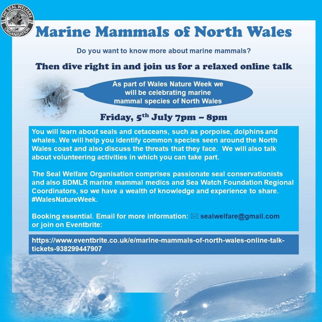 Marine Mammals of North Wales