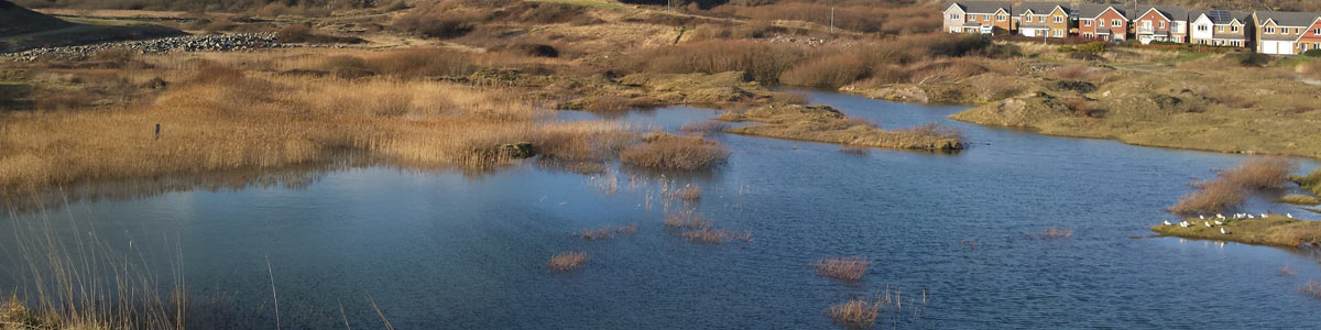 Wetlands