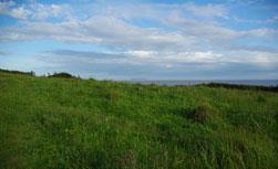 Lowland Grassland & Heathland Priority Habitats in Wales