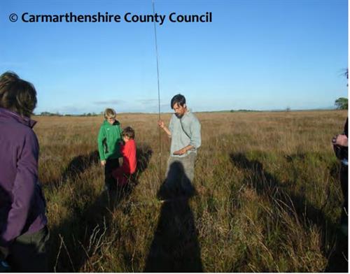 Carmarthenshire Bogs