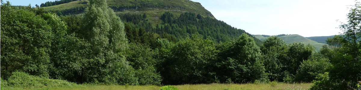 Blaencwm by Ray Edwards