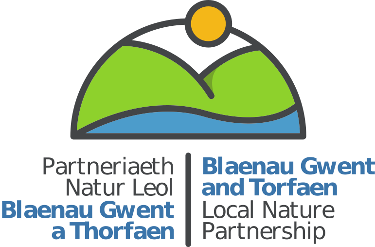 Blaenau Gwent and Torfaen logo