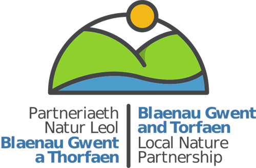 Blaenau Gwent and Torfaen logo