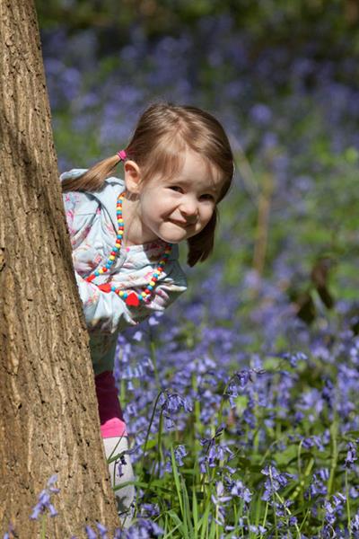 Bluebells - Tom Marshall