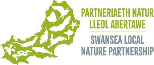 Swansea LNP logo