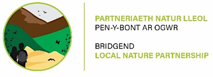 Bridgend LNP logo